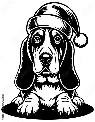 Basset Hound Dog Wearing Santa Hat