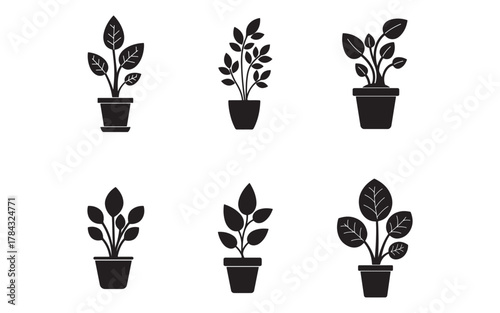 Collection of Six Potted Plant Silhouettes in Black and White for Interior Design and Decor Projects