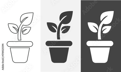 Potted plant icon in outline and solid style with black and white color. Bathroom icon element.