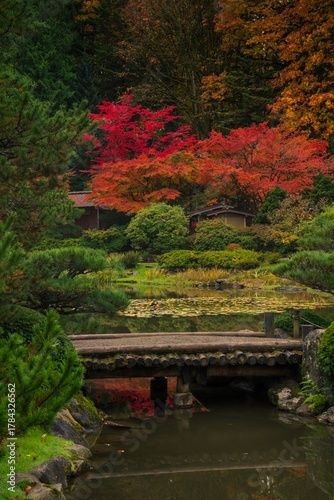 japanese garden in autumn