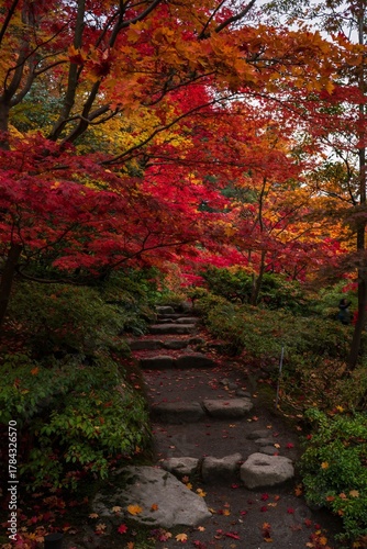 path down a japanese garden