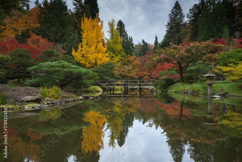 reflections of a japanese garden pond