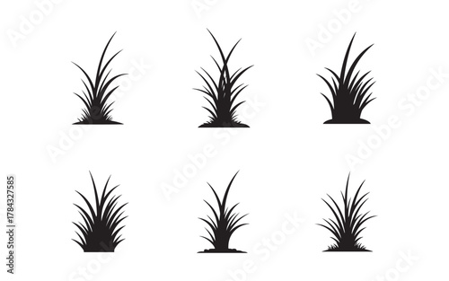 Six Vector Grass Tufts on White Background for Landscape Design and Gardening Applications Illustration