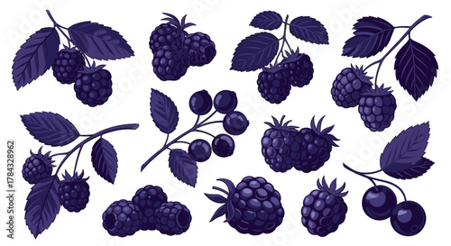 Detailed collection of dark purple berry and cherry illustrations with leaves and branches, showcasing a variety of ripe fruits in a vibrant botanical pattern.