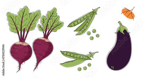 A vibrant hand-drawn illustration of fresh, organic vegetables: two purple beets with green leaves, green pea pods with loose peas, and a dark purple eggplant.