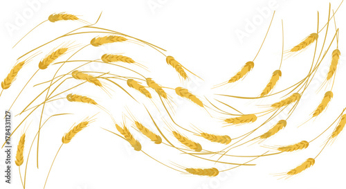 Artistic illustration of golden wheat ears and stalks swaying in a gentle wave on a clean white background.