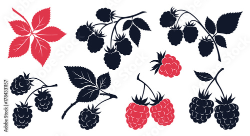 Collection of stylized raspberry illustrations featuring red berries and dark blue silhouettes of berries and leaves, perfect for summer designs.