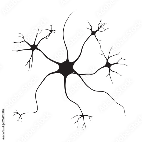 Illustration of a neuron, a fundamental unit of the nervous system responsible for transmitting information through electrical and chemical signals