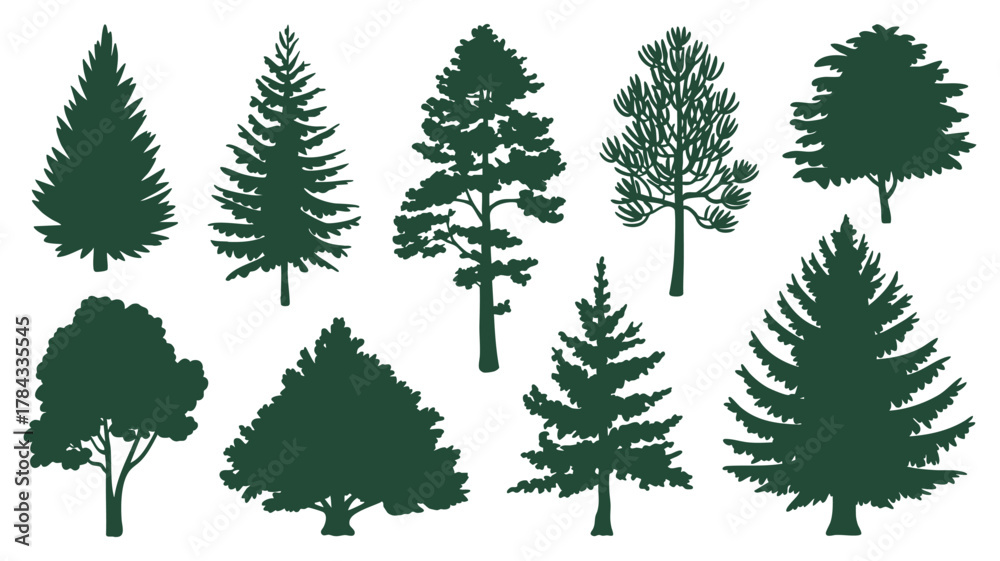 Obraz premium Tree silhouettes collection art