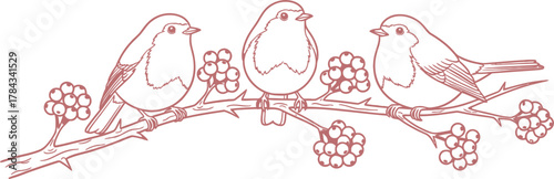 Three Cute Birds Perched on a Berry Branch