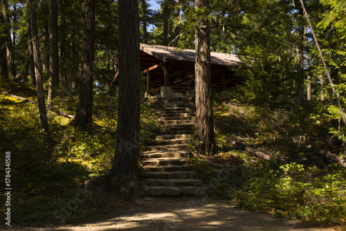 Trail in the forest for a log cabin - a shelter for tourists on a trail in a deep forest