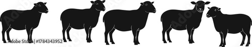 Sheep silhouettes with unique expressions and postures, livestock concept, cad drawing flat vector illustration, farm animal design, agriculture reference art