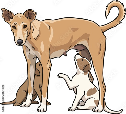 Emaciated dog nursing it s young puppies vector cartoon illustration