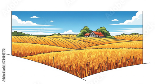 Golden wheat field landscape with farm house under a blue sky cartoon illustration