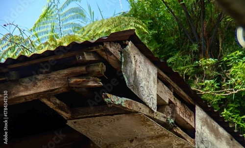 A rustic wooden roof edge weathered by time, surrounded by lush green foliage. The aged textures and natural light create a warm, nostalgic atmosphere that reflects harmony between traditional craftsm