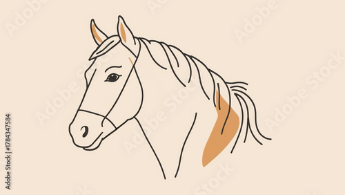 Horse head drawing