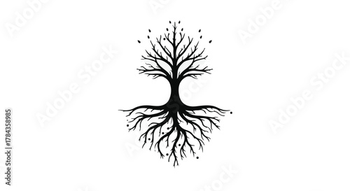 Symbolic tree of life with roots and branches reaching outwards on white background