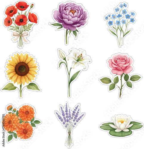 Watercolor Floral Bouquet and Individual Flower Illustrations