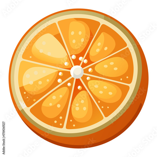 Juicy Orange Citrus Slice Cross-Section Vector