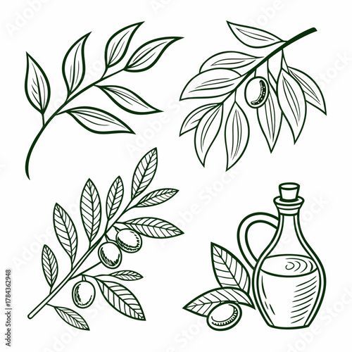 Four green line art icons of olive branches and oil bottle