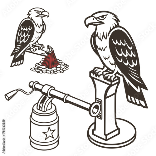 Two eagles and a vintage crank mechanism bird raptor