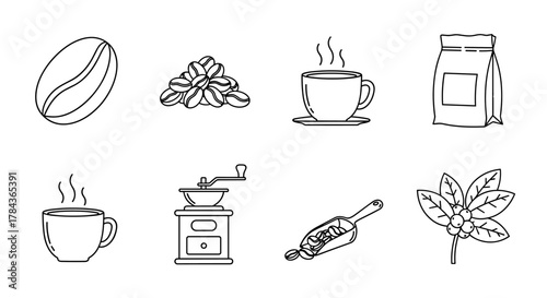Set of minimalistic line icons representing the coffee process from bean to cup, including coffee beans, a bag of coffee, a coffee grinder, a scoop of beans, a coffee plant with berries, and steaming