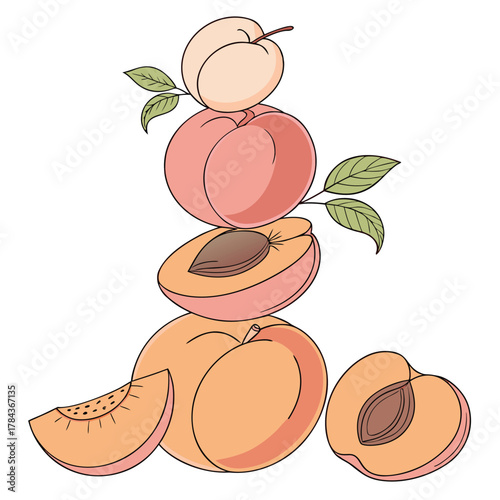 Fruit balancing composition from peaches and apricots