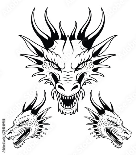 Mystical dragon head illustration in frontal and profile view featuring alchemy, magic, and occult symbolism for fantasy posters, prints, t-shirt designs, and esoteric art