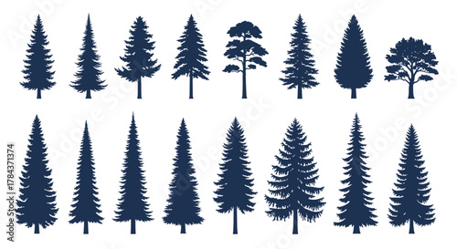 Diverse collection of dark blue tree silhouettes, including various evergreen conifers like firs, spruces, and pines, along with a deciduous tree.