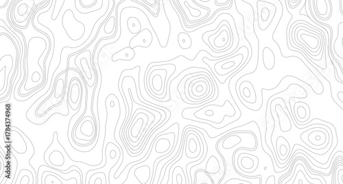 White topography topology vector white background, seamless cartography ware frame area contour topo grid map. 
