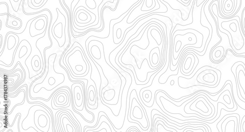 White topography topology vector white background, seamless cartography ware frame area contour topo grid map. 
