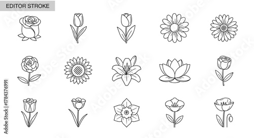 Collection of simple, isolated line art flower icons with editable strokes, perfect for web, books, cards, and apps. This vector cartoon illustration features roses, tulips, daisies, sunflowers