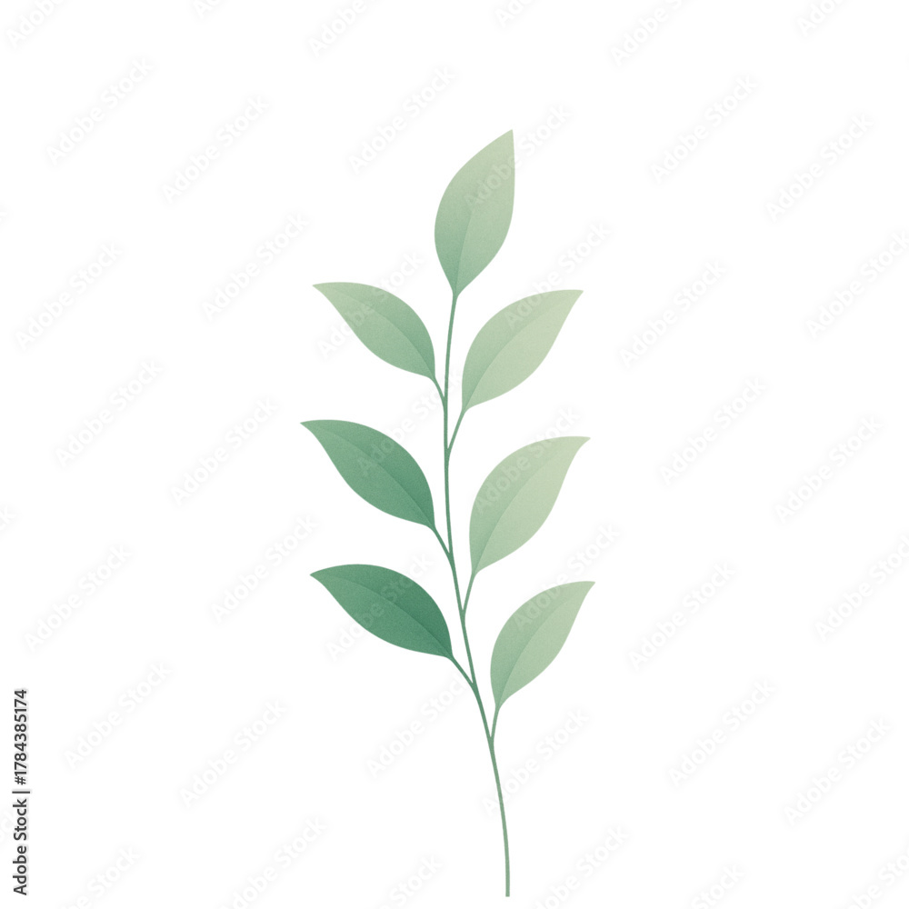 Fototapeta premium A delicate branch with soft green leaves, showcasing the simple beauty of nature and botanical elements