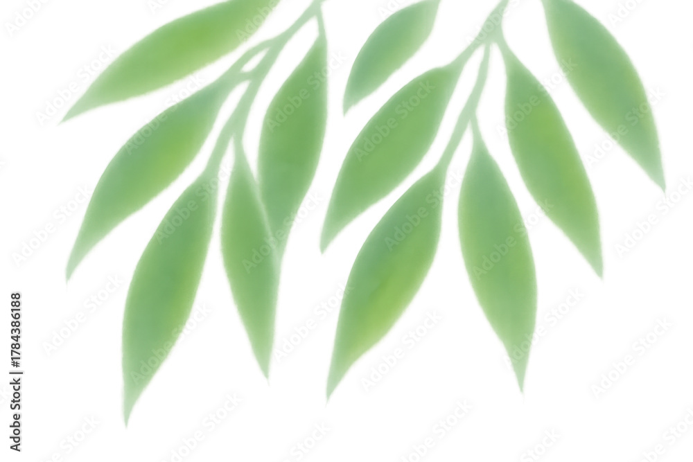 Fototapeta premium Green leaves illustration on transparent background, fresh nature growing element, soft botanical plant design