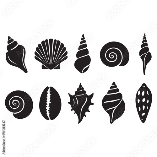 Seashells set vector