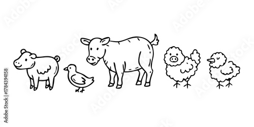Farm animals line art with transparent background chicken