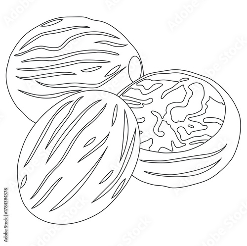 cute cartoon hand drawn vector nutmeg outline.