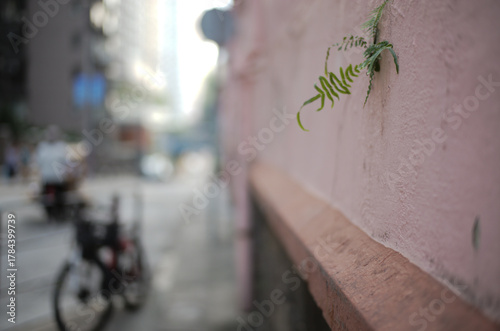Photography street in paris