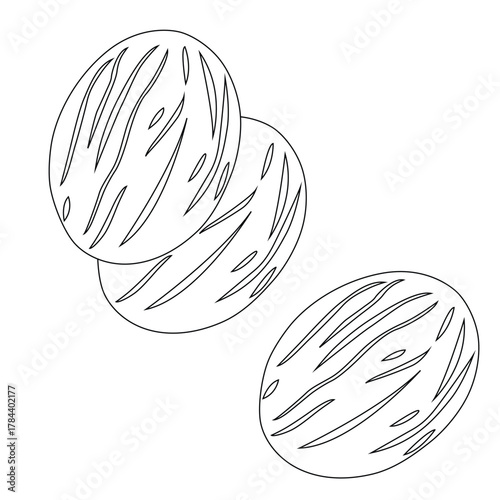 cute cartoon hand drawn vector nutmeg outline.