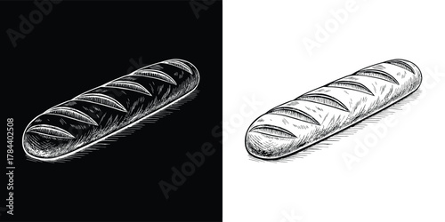 Hand drawn sketch of a baguette bread on a black and white background, isolated on white background