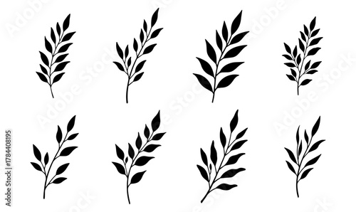 Handdrawn tropical leaves line art vector set exotic outlines for botanical designs nature