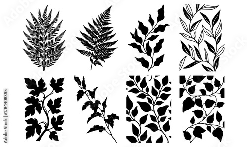Handdrawn tropical leaves line art vector set exotic outlines for botanical designs nature