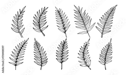 Handdrawn tropical leaves line art vector set exotic outlines for botanical designs nature