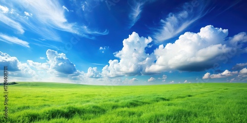 Fototapeta Naklejka Na Ścianę i Meble -  A serene green meadow under a clear blue sky with a few fluffy white clouds scattered about