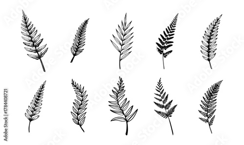 Handdrawn tropical leaves line art vector set exotic outlines for botanical designs nature