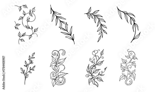 Handdrawn tropical leaves line art vector set exotic outlines for botanical designs nature