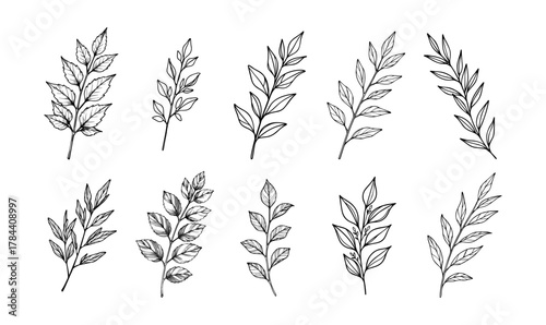 Handdrawn tropical leaves line art vector set exotic outlines for botanical designs nature