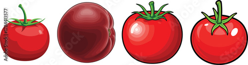 Set of Whole Red Tomato Fruit Vegetable Vector Illustration