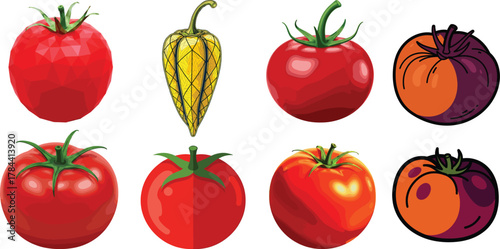 Tomato Physalis Fruit Vegetable Vector Illustration Set Collection
