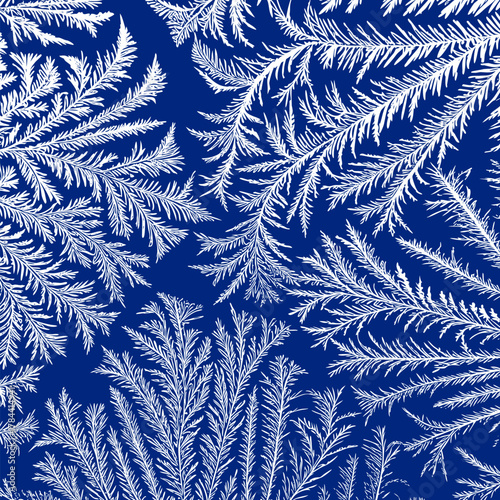 Winter frame with frosted patterns . White ice crystals design texture.
